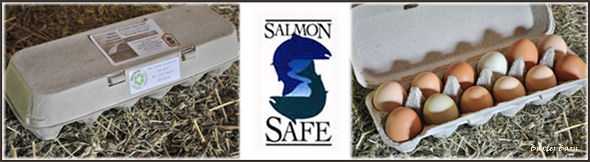 Salmon Safe