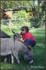 Woman petting a donkey at Baxter Barn.