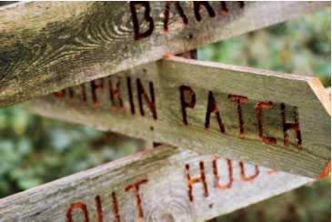 Pumpkin Patch Sign