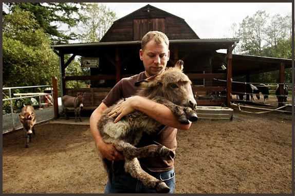 Cory holding a donkey at Baxter Barn