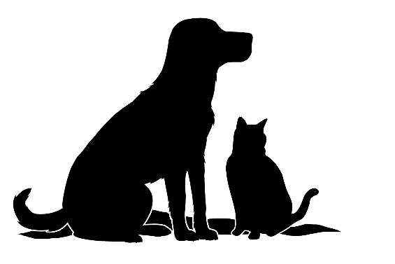 Pet Products | Baxter Barn